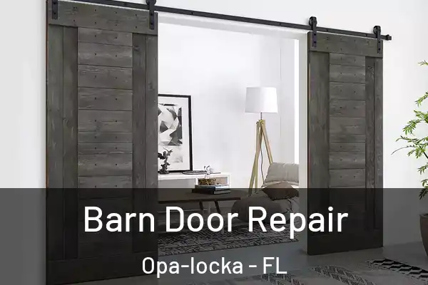Barn Door Repair Opa-locka - FL
