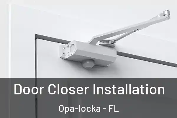  Door Closer Installation Opa-locka - FL