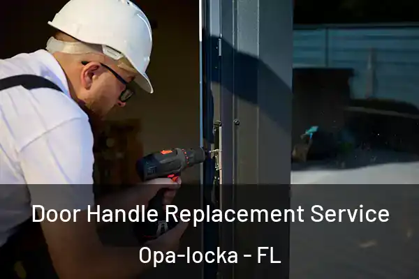 Door Handle Replacement Service Opa-locka - FL