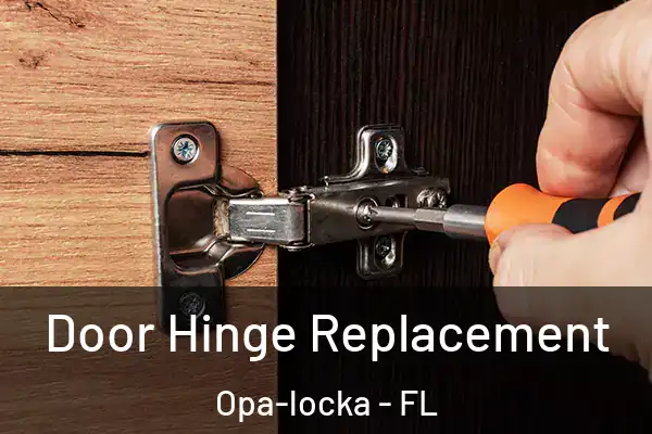  Door Hinge Replacement Opa-locka - FL
