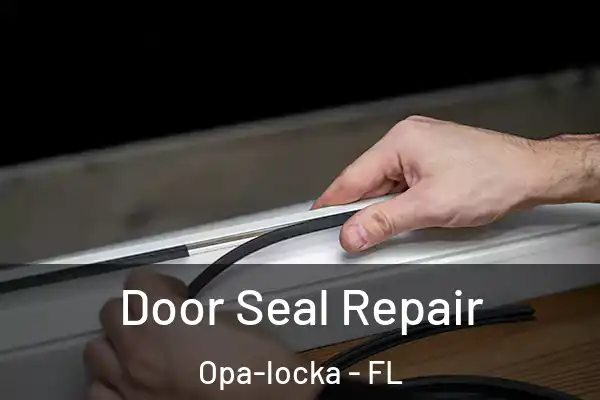 Door Seal Repair Opa-locka - FL