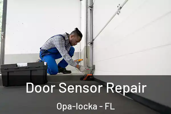 Door Sensor Repair Opa-locka - FL