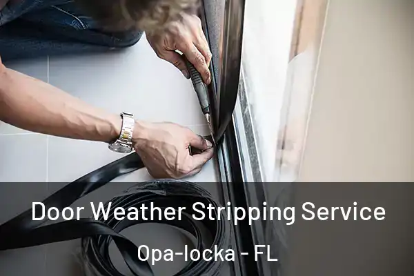  Door Weather Stripping Service Opa-locka - FL