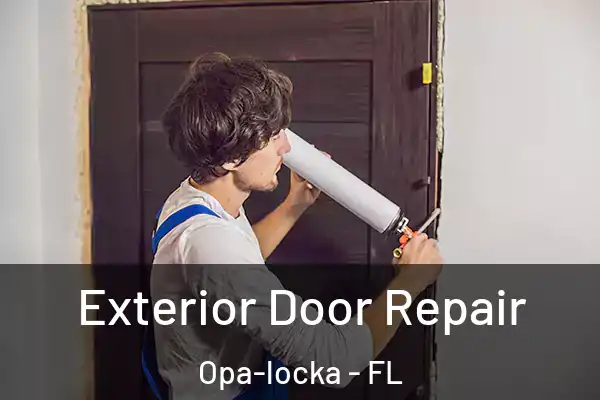  Exterior Door Repair Opa-locka - FL