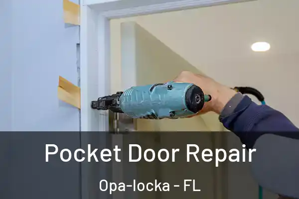 Pocket Door Repair Opa-locka - FL