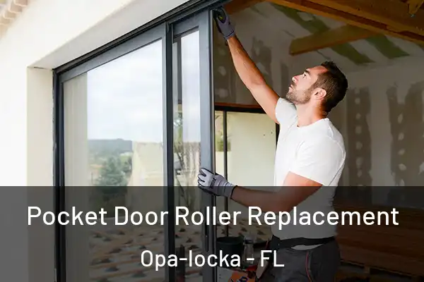 Pocket Door Roller Replacement Opa-locka - FL