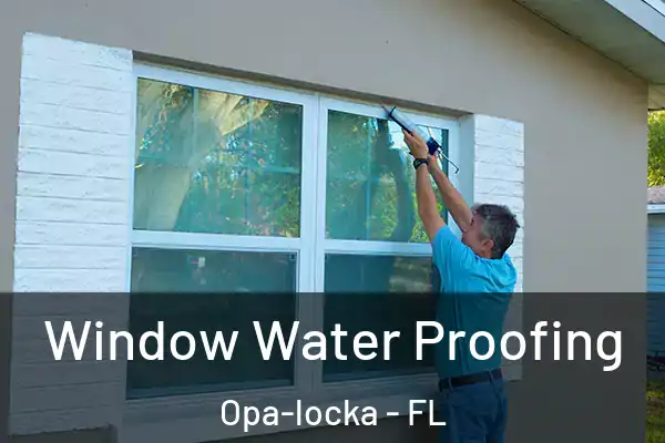  Window Water Proofing Opa-locka - FL
